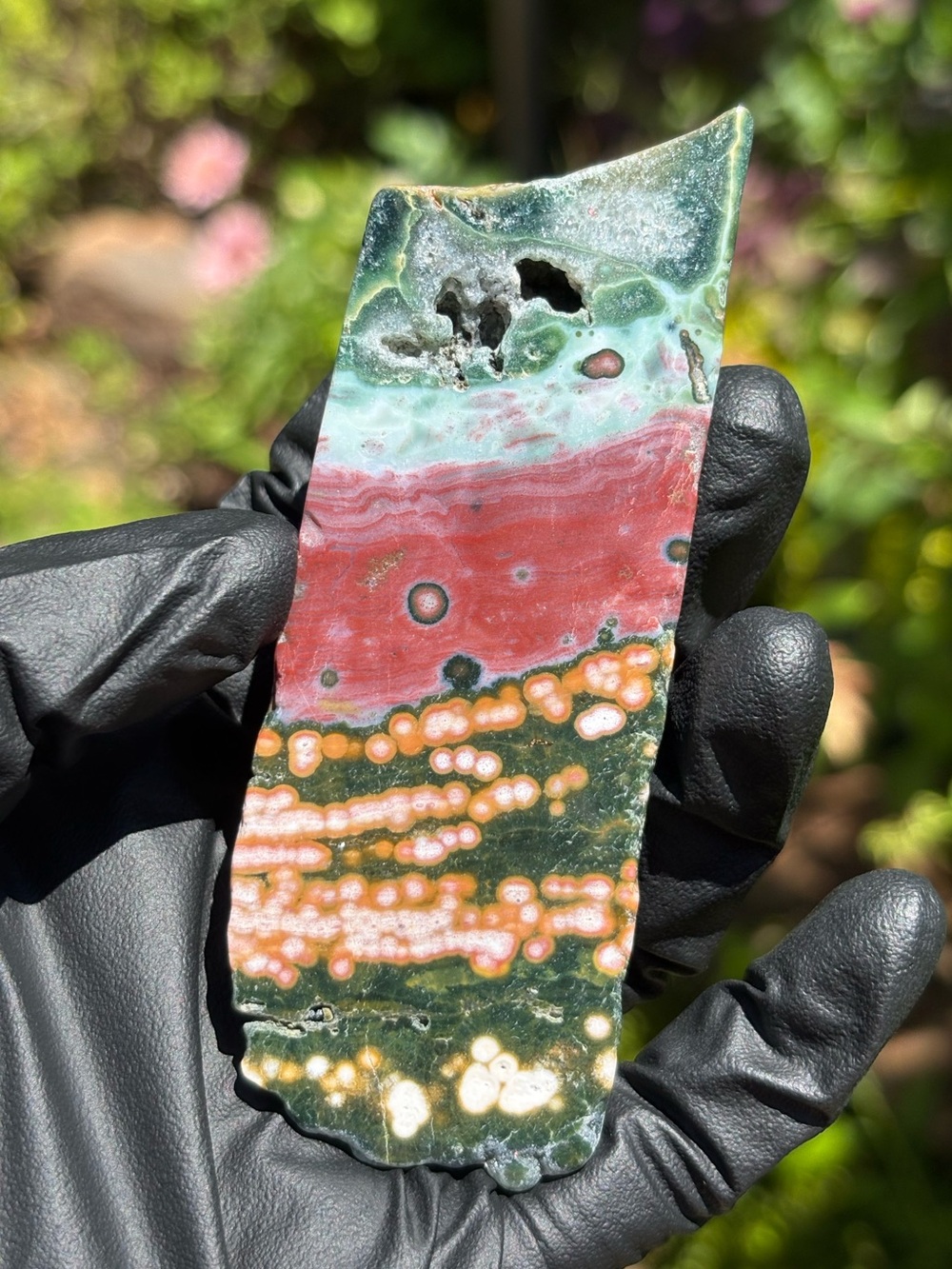 Colorful Ocean Jasper Slab - Druzy Sea Jasper - Polished Orbicular Jasper